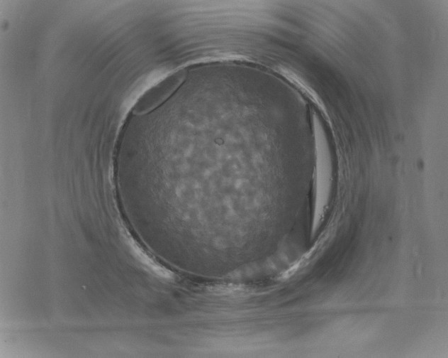 X0000076270797200610122254