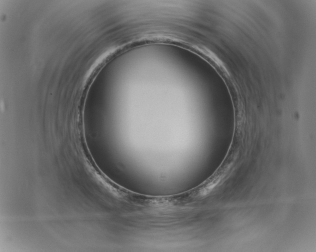 X0000076270799200610122254