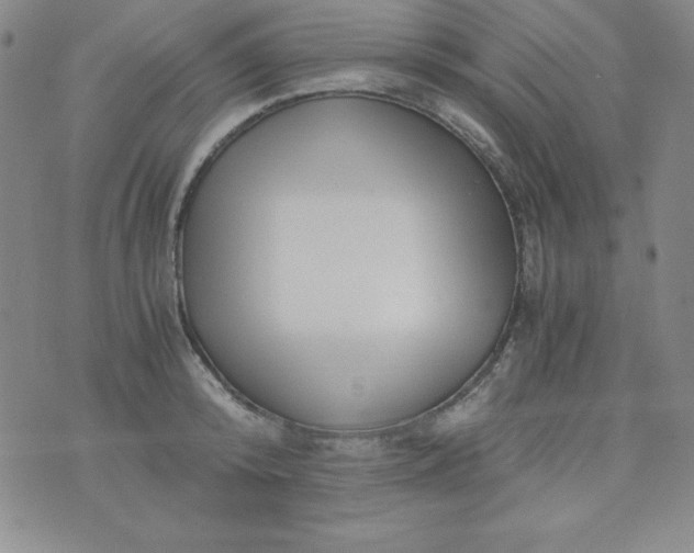 X0000076270800200610122254