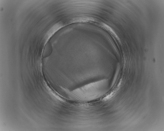 X0000076270802200610122254