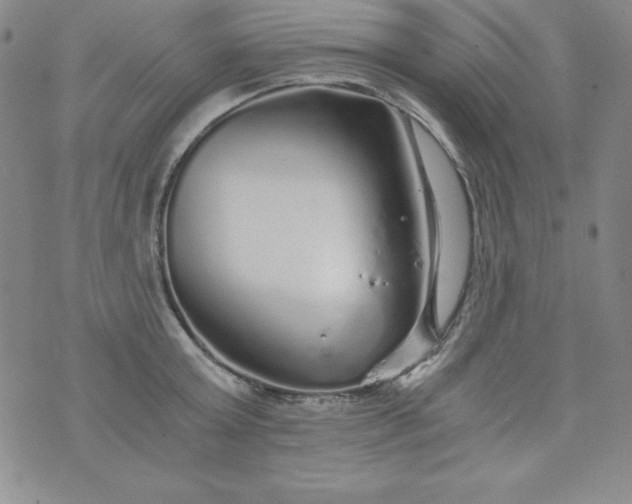 X0000076270803200610122254