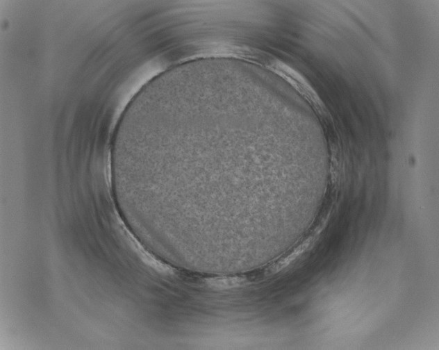 X0000076270804200610122254