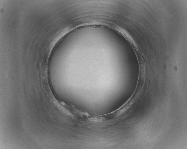 X0000076270805200610122254