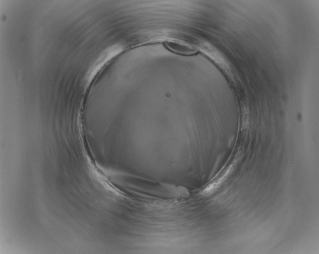 X0000076270806200610122254