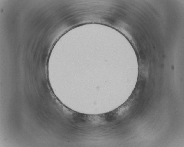 X0000076270807200610122253