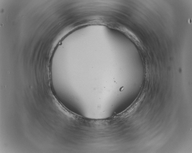 X0000076270808200610122253