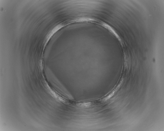 X0000076270810200610122253