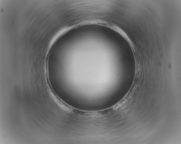 X0000076270811200610122253