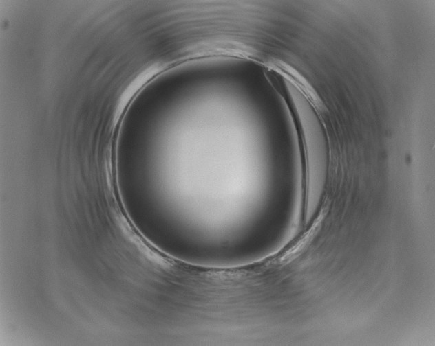 X0000076270812200610122253