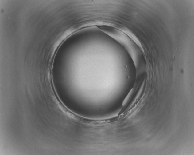 X0000076270813200610122253