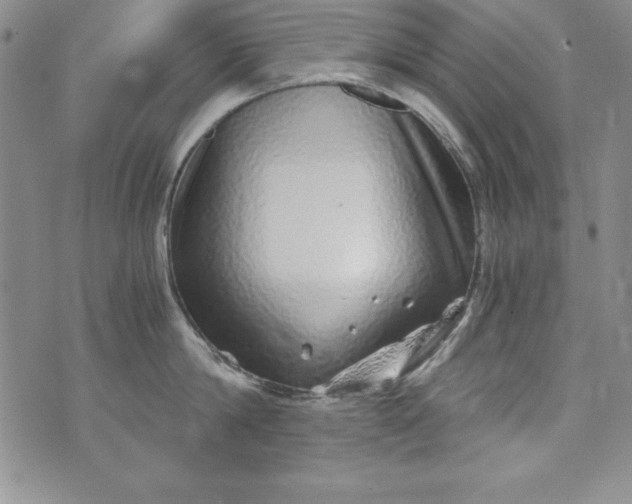 X0000076270814200610122253