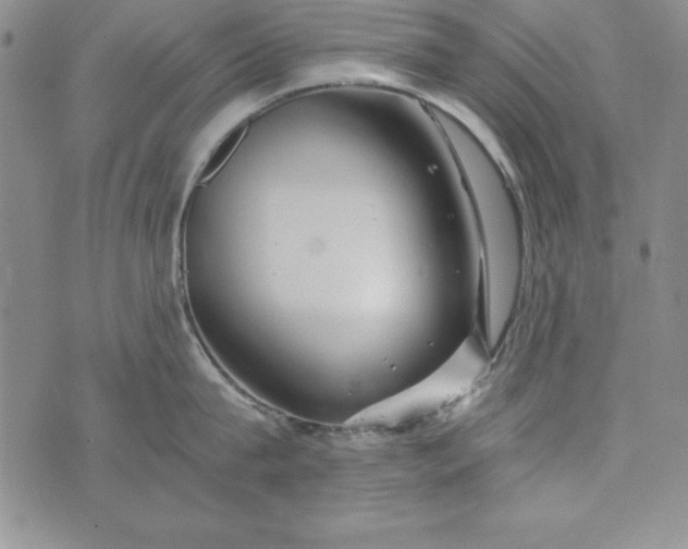 X0000076270815200610122253