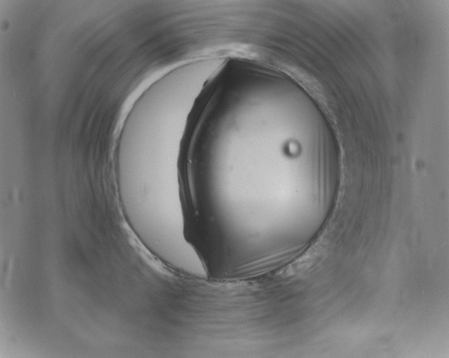 X0000076270816200610122253