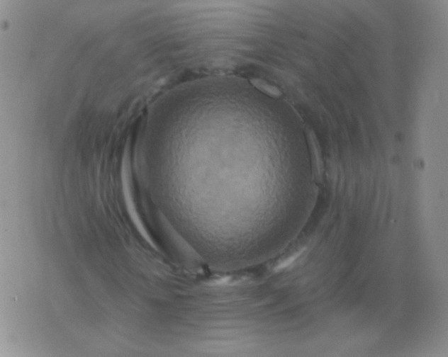 X0000076270818200610122253