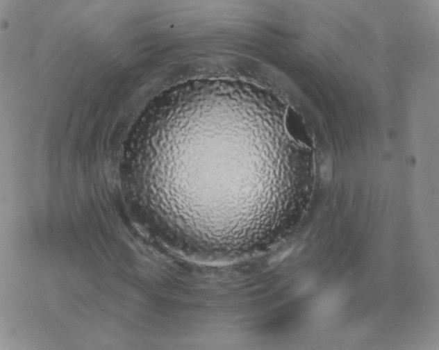 X0000076270819200610122253