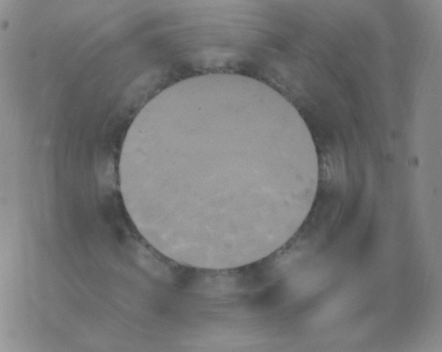 X0000076270820200610122253