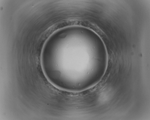 X0000076270821200610122253