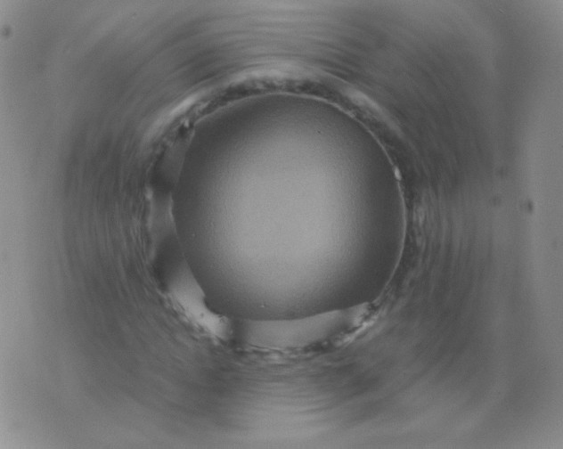 X0000076270822200610122253