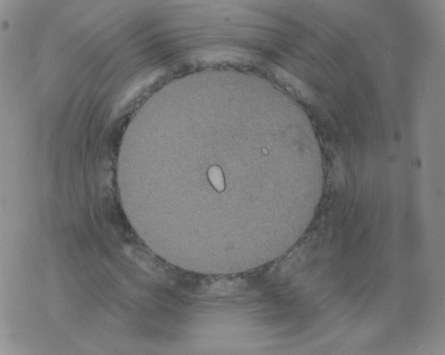 X0000076270824200610122253