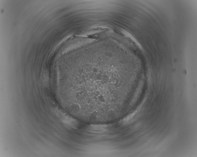 X0000076270825200610122253