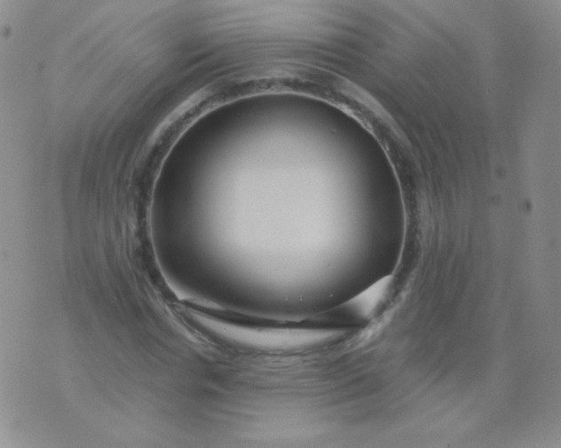 X0000076270826200610122253