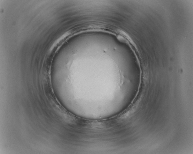 X0000076270827200610122253