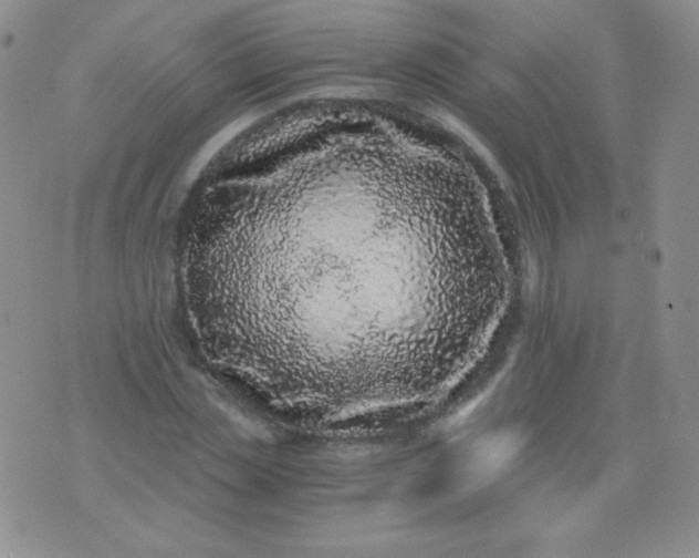 X0000076270829200610122253