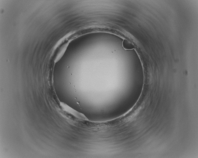 X0000076270830200610122253