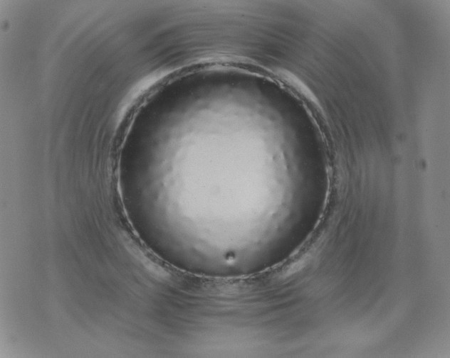 X0000076270831200610122253