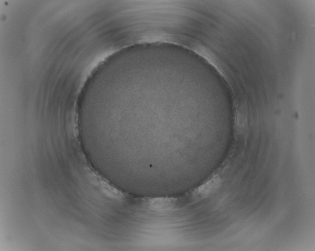 X0000076270832200610122253