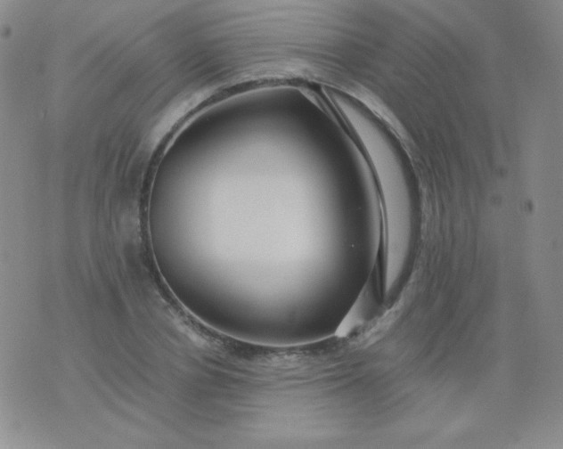 X0000076270834200610122253