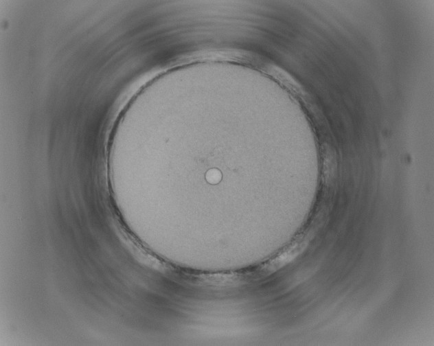 X0000076270836200610122253