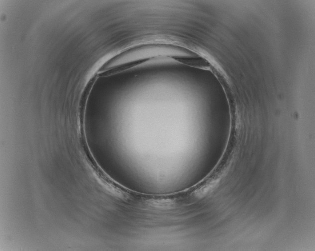 X0000076270837200610122253