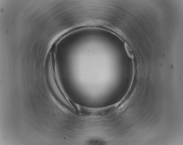 X0000076270838200610122253