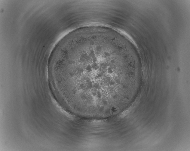 X0000076270839200610122253