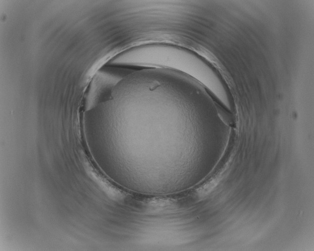 X0000076270842200610122253