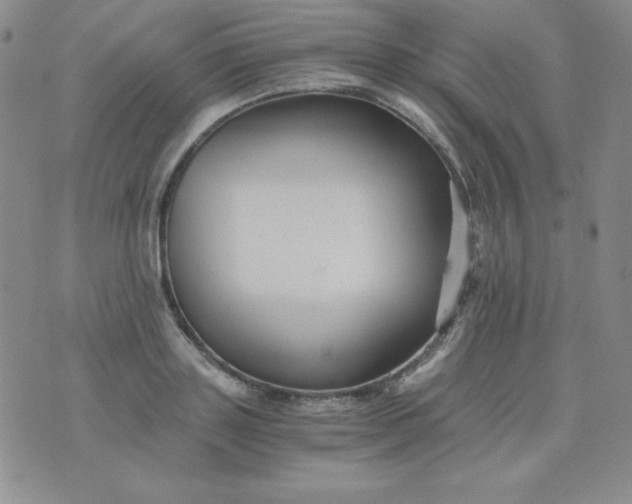 X0000076270843200610122253