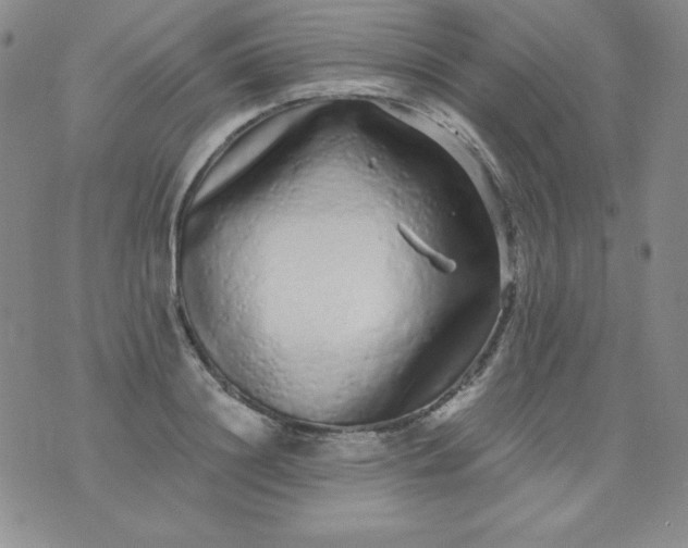 X0000076270844200610122253