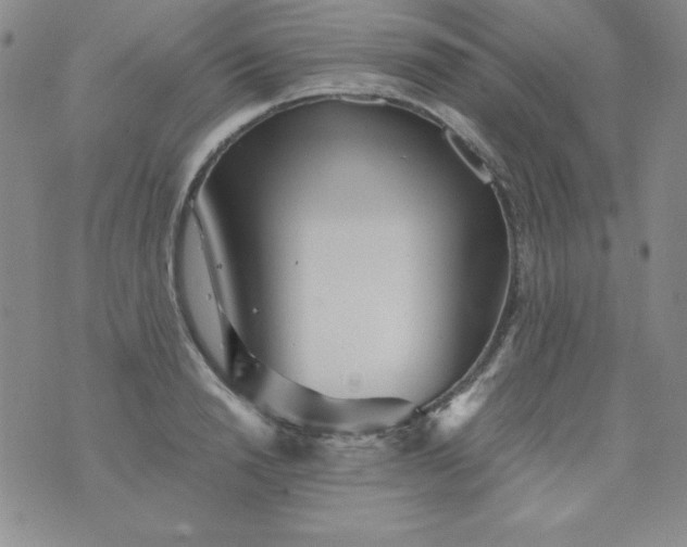 X0000076270846200610122253