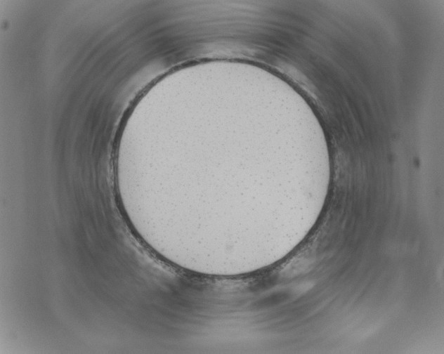 X0000076270848200610122253