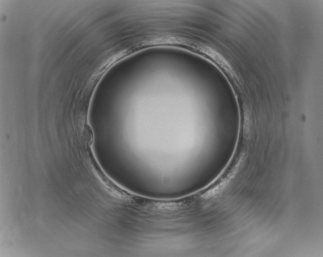 X0000076270849200610122253