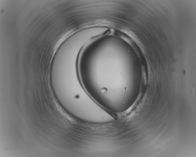 X0000076270850200610122253