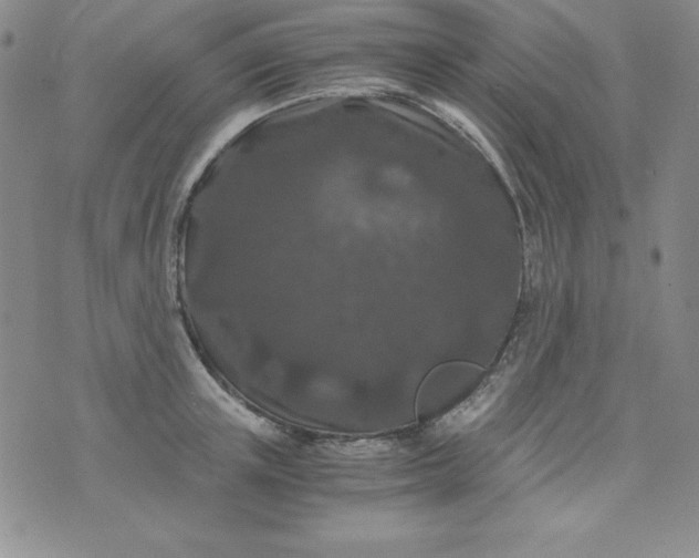 X0000076270851200610122253