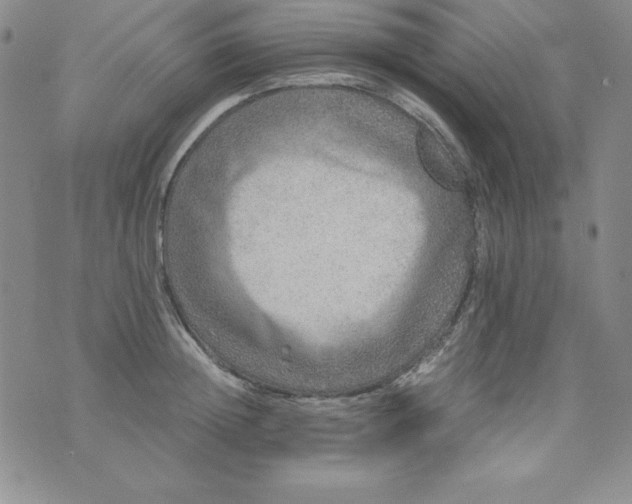 X0000076270852200610122253