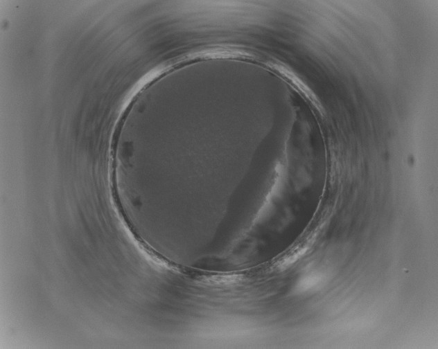 X0000076270853200610122253