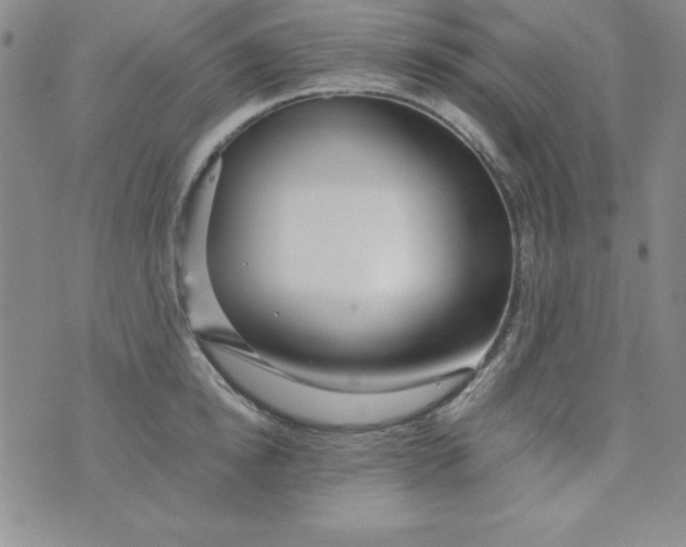 X0000076270854200610122253