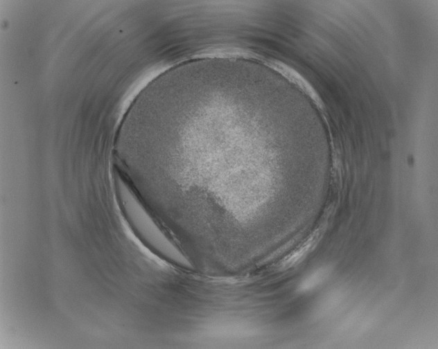 X0000076270855200610122253