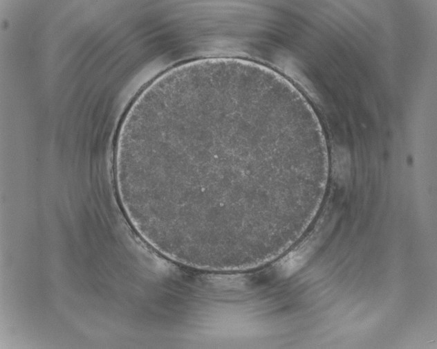 X0000076270856200610122253