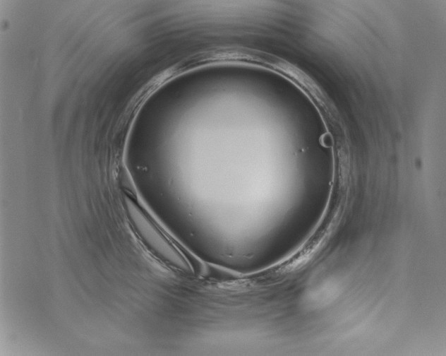 X0000076270857200610122253