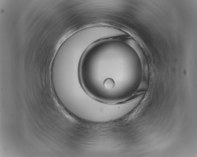 X0000076270858200610122253